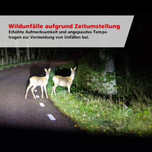 MEHR LESEN