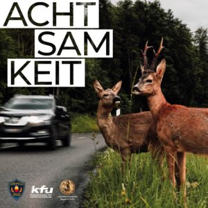 MEHR LESEN